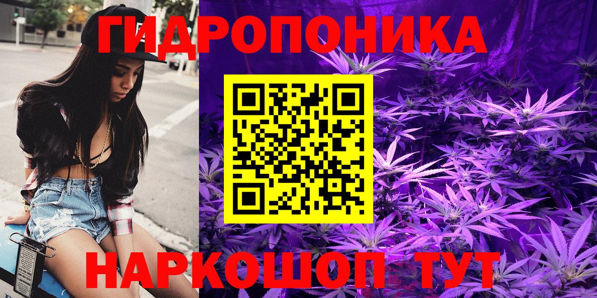 Шишки марихуана OG Kush  Вход с VPN  МАРИХУАНА конопля  Конопля сатива  Кизилюрт  МАРИХУАНА марихуана 